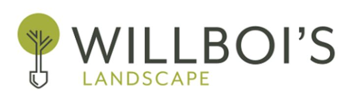 1 Gold Willboi's Landscape